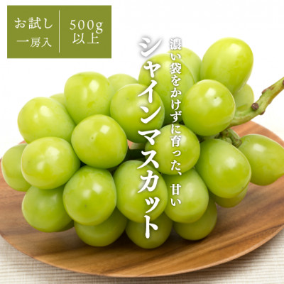 【発送月固定定期便】【2026年先行予約】桃と葡萄どっちも食べたい便!【お試し便】(岡山県産)全2回【配送不可地域：離島・北海道・沖縄県】