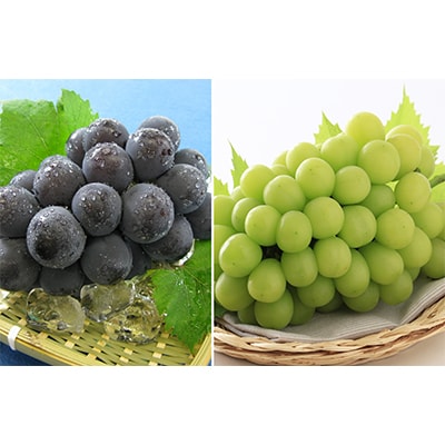 【発送月固定定期便】岡山旬の果物定期便(白桃・種なしぶどう・新高梨) 全3回【配送不可地域：離島・北海道・沖縄県】