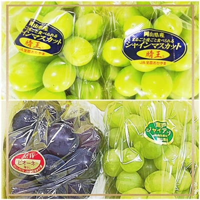 【発送月固定定期便】岡山県産 フルーツ定期便B全5回【配送不可地域：離島・北海道・沖縄県】