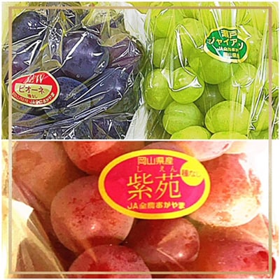 【発送月固定定期便】岡山県産 フルーツ定期便全6回【配送不可地域：離島・北海道・沖縄県】