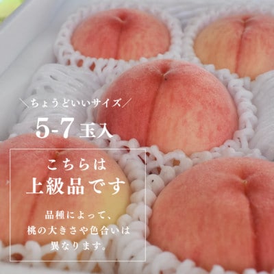 【発送月固定定期便】【2026年先行予約】桃好きの為の桃3回便!(上級品5-7玉入)(岡山産)全3回【配送不可地域：離島】