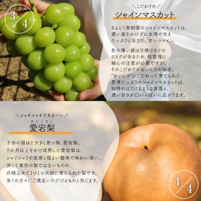 【発送月固定定期便】【2026年先行予約】桃と葡萄と梨が少しずつ届く!【お試し便】(岡山産)全4回【配送不可地域：離島・北海道・沖縄県】