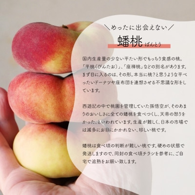 【発送月固定定期便】【きよとうファーム】蟠桃とシャインマスカットのご家庭用を岡山から産地直送全2回【配送不可地域：離島・北海道・沖縄県】