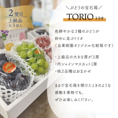 【発送月固定定期便】【2026年先行予約】岡山の桃、ぶどう、梨を産地直送!多品種を楽しむ定期便全3回【配送不可地域：離島・北海道・沖縄県】