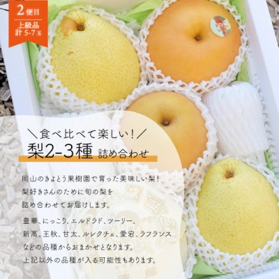 【発送月固定定期便】【2026年先行予約】シャインマスカット計2kg～と梨2-3種上級品岡山産全2回【配送不可地域：離島】