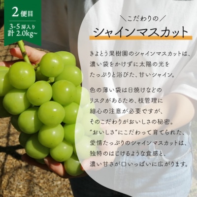 【発送月固定定期便】【2026年先行予約】ピオーネとシャインマスカットの2回便!(岡山県産)全2回【配送不可地域：離島】