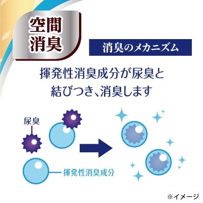 【毎月定期便】エリエール消臭+トイレットティシュー ダブル 72ロール(12ロール×6パック)全2回【配送不可地域：離島・北海道・沖縄県】