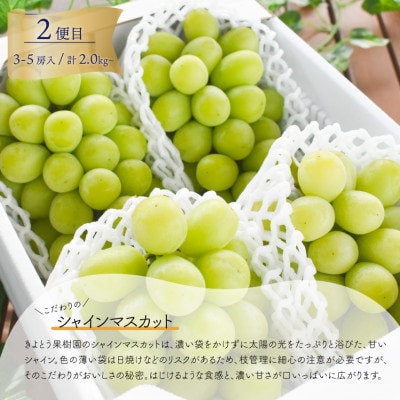【発送月固定定期便】【2026年先行予約】藤稔とシャインマスカット各2kg入の定期便(岡山産)全2回【配送不可地域：離島】