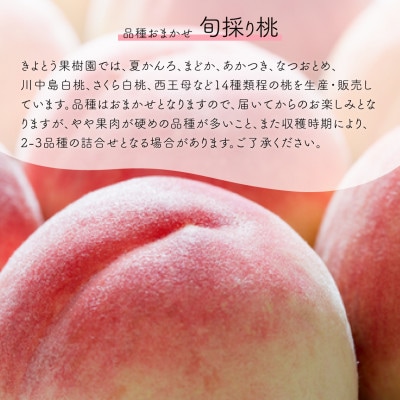 【発送月固定定期便】【2026年先行予約】桃とシャインマスカット どっちも食べたい便(岡山産)全2回【配送不可地域：離島】