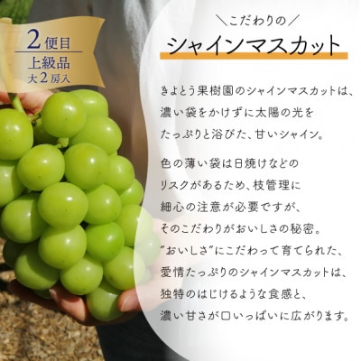 【発送月固定定期便】【2026年先行予約】厳選された大玉桃3玉と大粒シャインマスカット定期便!全2回【配送不可地域：離島】