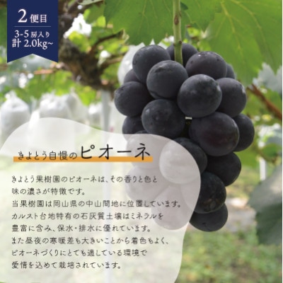 【発送月固定定期便】【2026年先行予約】桃、ピオーネ、シャインマスカット定期便 (岡山県産)全3回【配送不可地域：離島】