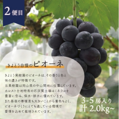 【発送月固定定期便】【2026年先行予約】旬採り桃とピオーネ、シャインマスカットが届く/岡山産全3回【配送不可地域：離島】