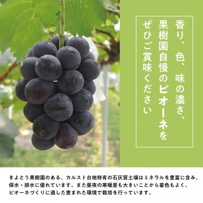 【発送月固定定期便】【2026年先行予約】桃、ピオーネ、シャインマスカットの満足便(岡山県産)全3回【配送不可地域：離島】