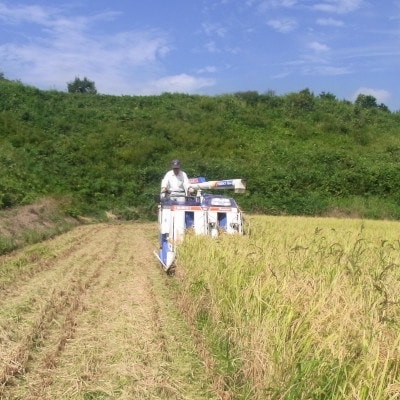 2022年7月発送開始『定期便』特別栽培こしひかり　岡山県津山　突鉱土育ちトッコウ米10kg全6回