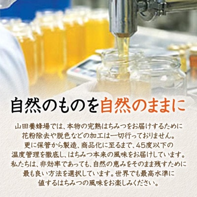 山田養蜂場の里山のあかしあ蜂蜜(3503)