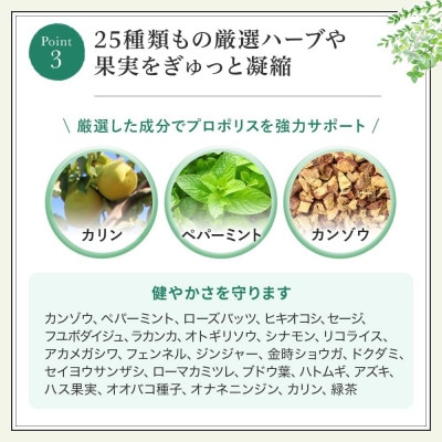 プロポリススプレー(11104)