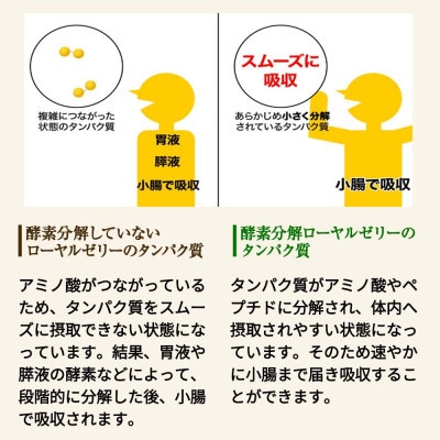 酵素分解ローヤルゼリーキング (560)