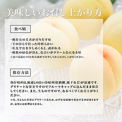 【先行受付】岡山県産　白桃6玉(1.6kg以上)　化粧箱入り【配送不可地域：離島・北海道・沖縄県】