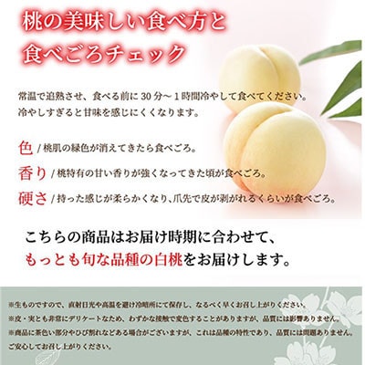 【先行受付】岡山白桃 エース 3玉×300g(3Lサイズ) 岡山県産【配送不可地域：離島・北海道・沖縄県】