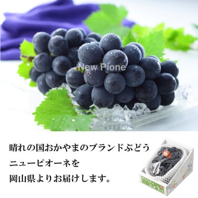 【2026年6月下旬より順次発送】岡山県産 ニューピオーネ 700g×1房【配送不可地域：離島・北海道・沖縄県】
