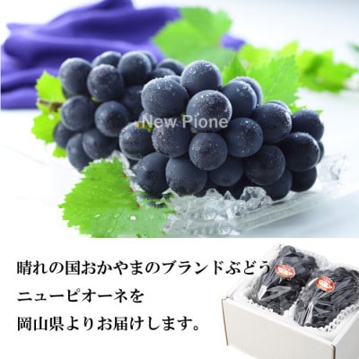 【2026年6月下旬より順次発送】岡山県産 ニューピオーネ 500g×2房【配送不可地域：離島・北海道・沖縄県】