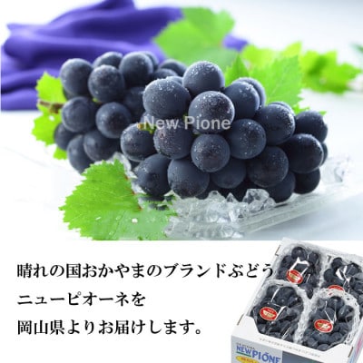 【2026年6月下旬より順次発送】岡山県産 ニューピオーネ 2kg(3房～6房)【配送不可地域：離島・北海道・沖縄県】