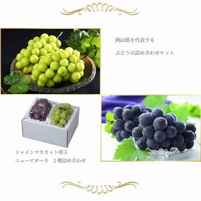 【2026年6月下旬より順次発送】岡山県産 シャインマスカット晴王・ニューピオーネLサイズ詰合せ【配送不可地域：離島・北海道・沖縄県】