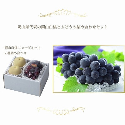 【先行受付】岡山県産　岡山白桃エース2Lサイズ250g×2玉・ニューピオーネ500g×1房　詰合せ【配送不可地域：離島・北海道・沖縄県】