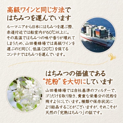 ルーマニア産アカシア蜂蜜500g(12670)