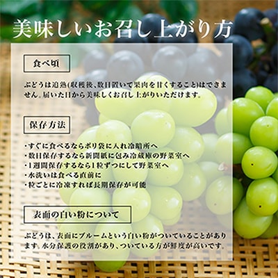 【先行受付】岡山県産　シャインマスカット『晴王』4房(1房480g以上・合計約2kg)　【配送不可地域：離島・北海道・沖縄県】