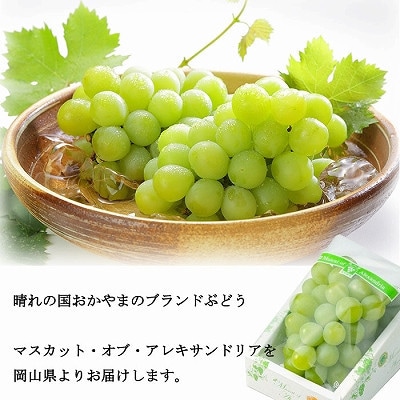 【2026年6月下旬より順次発送】岡山県産 マスカット・オブ・アレキサンドリア 600g×1房【配送不可地域：離島・北海道・沖縄県】