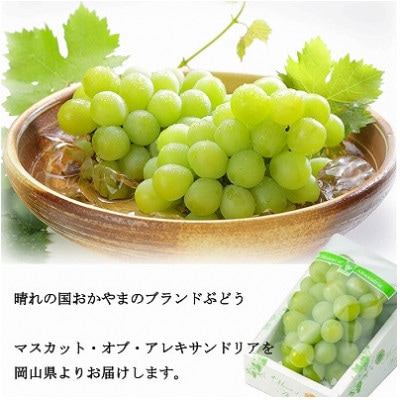 【2026年6月下旬より順次発送】岡山県産 マスカット・オブ・アレキサンドリア 700g×1房【配送不可地域：離島・北海道・沖縄県】
