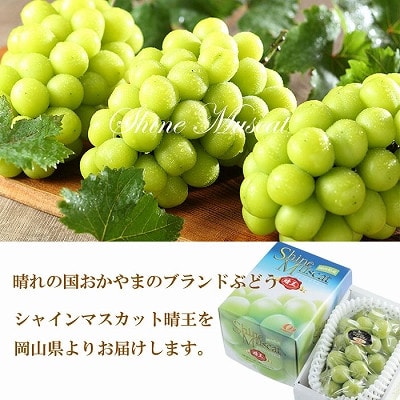【2026年7月中旬より順次発送】岡山県産 シャインマスカット 晴王 700g×1房【配送不可地域：離島・北海道・沖縄県】