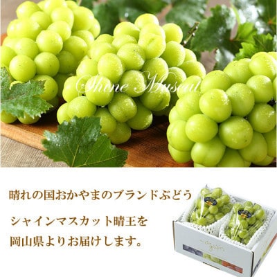 【2026年7月中旬より順次発送】岡山県産 シャインマスカット 晴王 600g×2房【配送不可地域：離島・北海道・沖縄県】