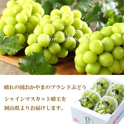 【2026年7月中旬より順次発送】岡山県産 シャインマスカット 晴王 2kg(3房～6房)【配送不可地域：離島・北海道・沖縄県】