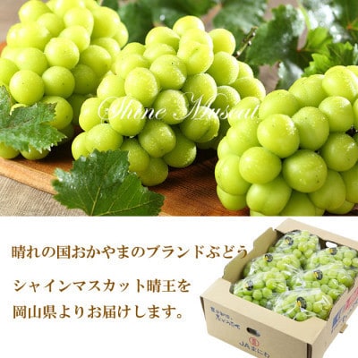 【2026年7月中旬より順次発送】岡山県産 シャインマスカット 晴王 5kg(5房～10房)【配送不可地域：離島・北海道・沖縄県】