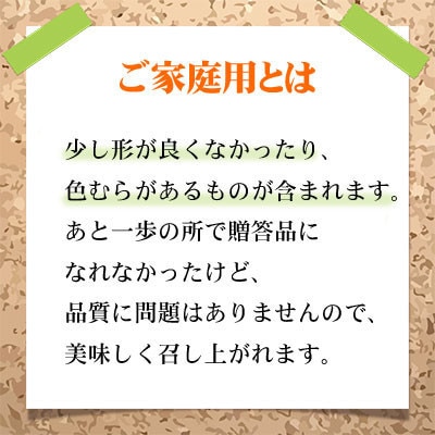 【2026年8月より発送】ご家庭用　岡山県産　ピオーネ　2kg(3～6房)【配送不可地域：離島】