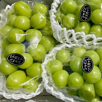 【2026年9月下旬発送】大粒シャインマスカット 約2kg(2～4房)