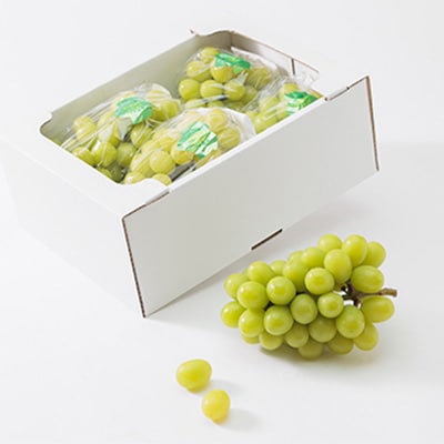 【2026年度発送分】早起き農家の直送便　わけありシャインマスカット2kg【配送不可地域：離島・北海道・沖縄県】