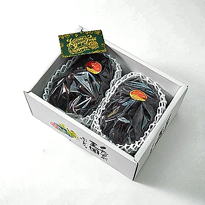 【2026年発送分】岡山県産 大粒 ニューピオーネ 2房セット (1.2～1.5kg)【配送不可地域：離島】