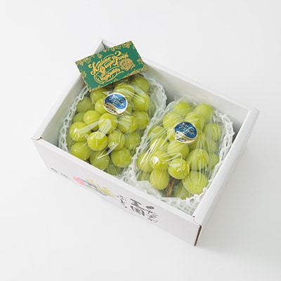 【先行受付】岡山県産 農家直送 朝摘みシャインマスカット2房セット (1.2～1.5kg)