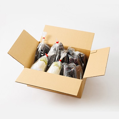 2024年発送　食卓の新しい定番!なす栽培歴50年の大ベテランが育てたなすの詰め合わせセット