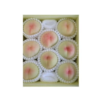 【2026年先行予約】2026年7月中旬頃より発送予定・岡山の白桃・白鳳(2kg箱)【配送不可地域：離島】