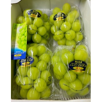 【先行受付】岡山県産 シャインマスカット『晴王』 3～5房 (約2kg)【配送不可地域：離島・北海道・沖縄県】