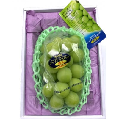 【先行受付】岡山県産 シャインマスカット『晴王』1房(800g以上) 化粧箱入り【配送不可地域：離島・北海道・沖縄県】