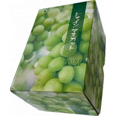 【2026年度発送分】早起き農家の直送便　上出来シャインマスカット1房【配送不可地域：離島・北海道・沖縄県】