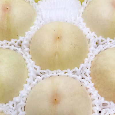 【2026年・先行予約】2026年8月下旬頃より発送予定・岡山の白桃・瀬戸内(2kg箱)【配送不可地域：離島】