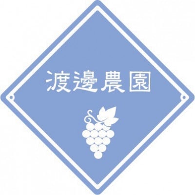 【先行予約 2026年発送】岡山県産　アントシアニン豊富な　ブラックビート　2房(合計約1kg)【配送不可地域：離島】