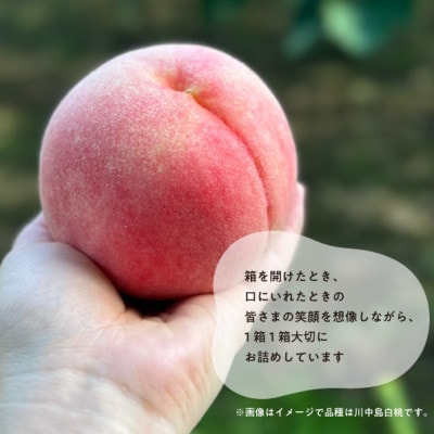 【2026年先行予約】乙女のような可愛い甘い桃  「なつおとめ」家庭用 5-7玉入(岡山県産)【配送不可地域：離島】