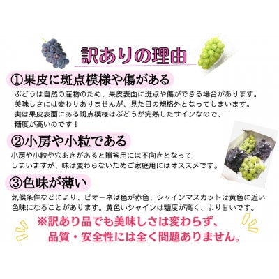 【2026年先行受付】訳あり岡山県産シャインマスカット4kg【配送不可地域：離島】